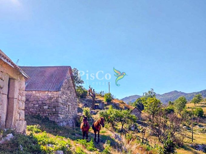Prodaja zemljista 480000m2 Brestice Niksic 09