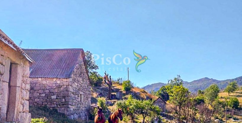 Prodaja zemljišta 480000m2, Brestice, Nikšić