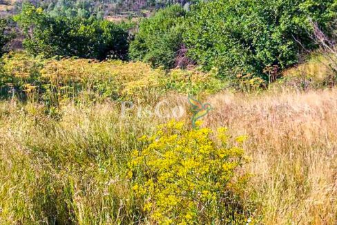 Prodaja zemljišta 480000m2, Brestice, Nikšić-16