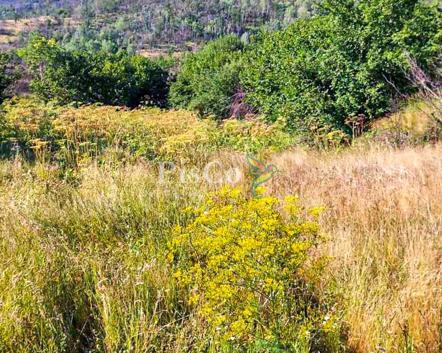 Prodaja zemljišta 480000m2, Brestice, Nikšić-16