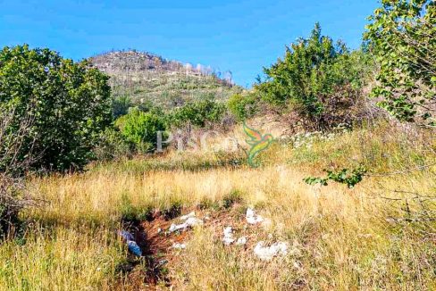 Prodaja zemljišta 480000m2, Brestice, Nikšić-17