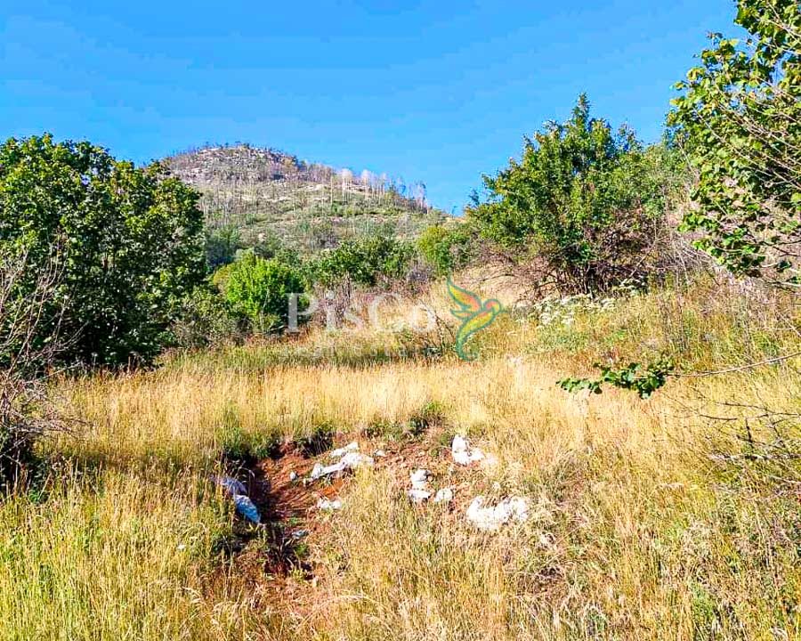 Prodaja zemljišta 480000m2, Brestice, Nikšić-17