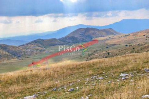 Prodaje se veliko zemljište 77000m2, Plužine-417