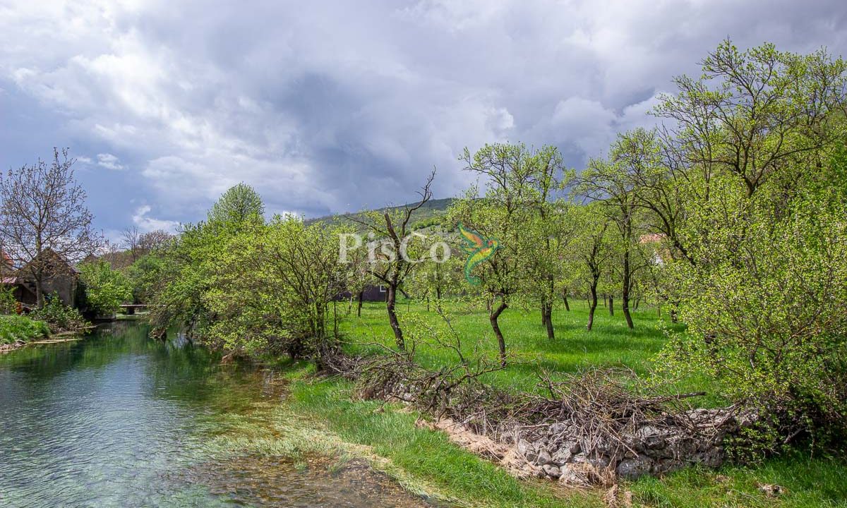 Prodaje se zemljište sa UT uslovima pored rijeke 1241m2, Miločani, Nikšić-1766
