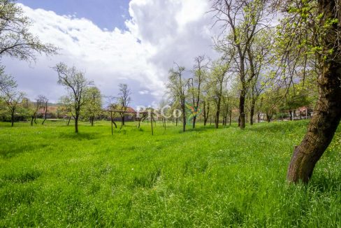 Prodaje se zemljište sa UT uslovima pored rijeke 1241m2, Miločani, Nikšić-1767