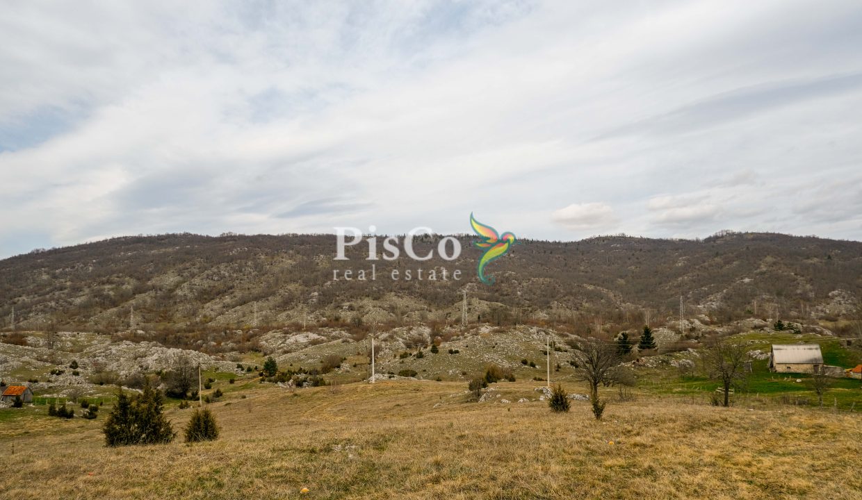 Zemljište u Breznima, 38000m2, Plužine (2 of 5)