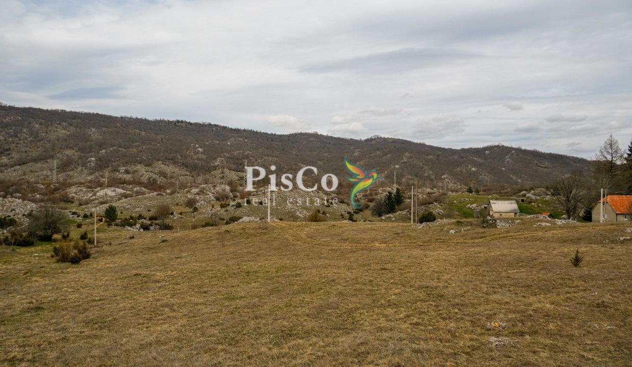 Zemljište u Breznima, 38000m2, Plužine (4 of 5)