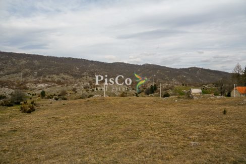 Zemljište u Breznima, 38000m2, Plužine (4 of 5)