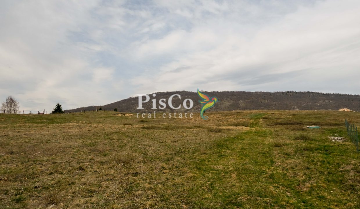 Zemljište u Breznima, 38000m2, Plužine (5 of 5)