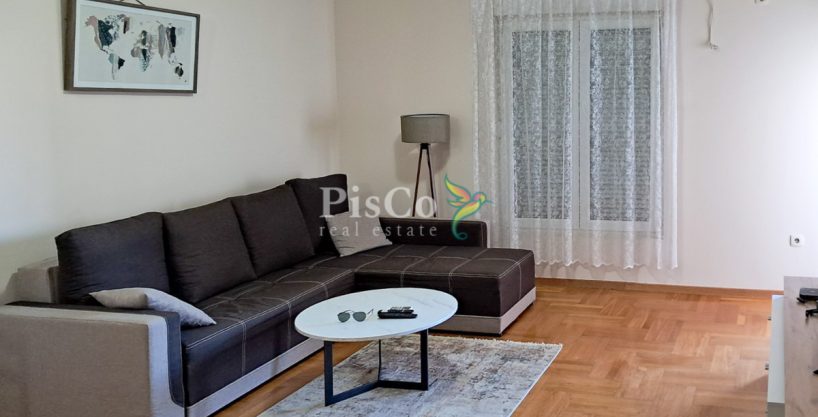 Jednosoban stan, 43m², Preko Morače, Izdavanje