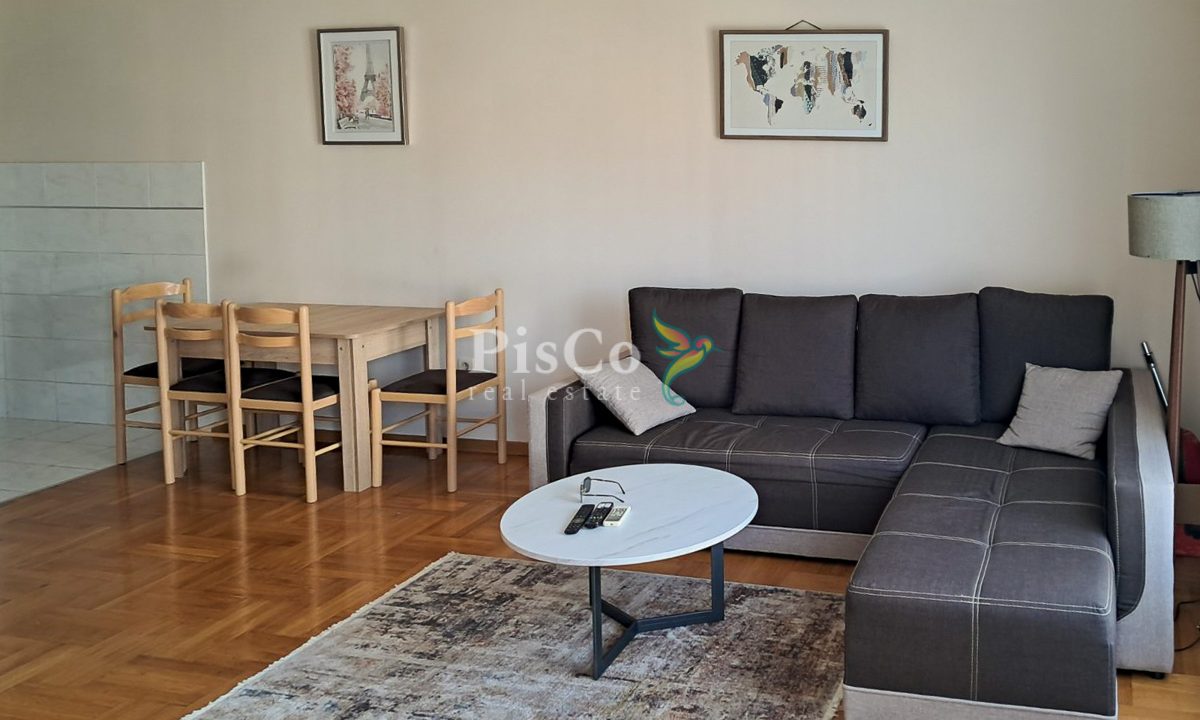 jednosoban stan, 43m², Preko Morače, Izdavanje-334