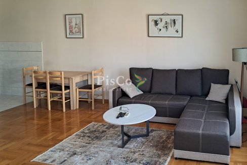 jednosoban stan, 43m², Preko Morače, Izdavanje-334