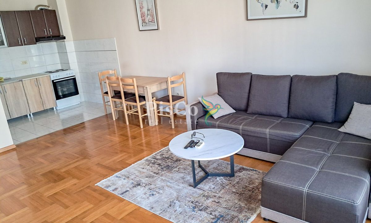 jednosoban stan, 43m², Preko Morače, Izdavanje-736