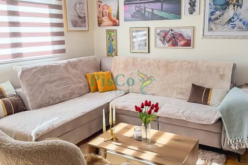 zabjelo novo (1 of 15)