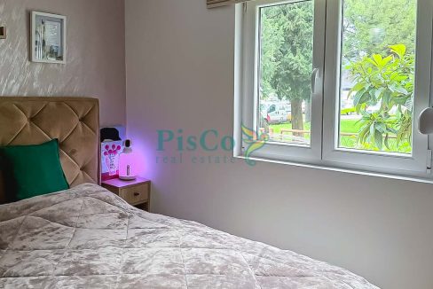 zabjelo novo (11 of 15)