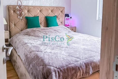 zabjelo novo (13 of 15)