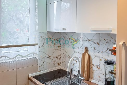 zabjelo novo (5 of 15)