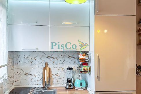 zabjelo novo (6 of 15)