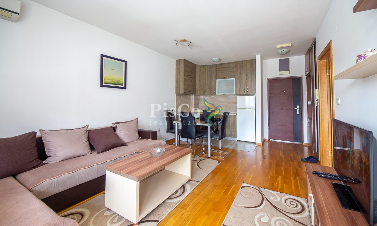 Izdavanje jednosoban stan Stari aerodrom, 45m2, Podgorica-1858