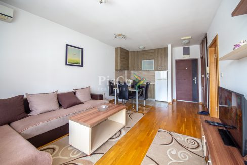 Izdavanje jednosoban stan Stari aerodrom, 45m2, Podgorica-1858