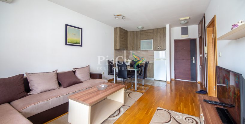 Izdavanje jednosoban stan Stari aerodrom, 45m2, Podgorica