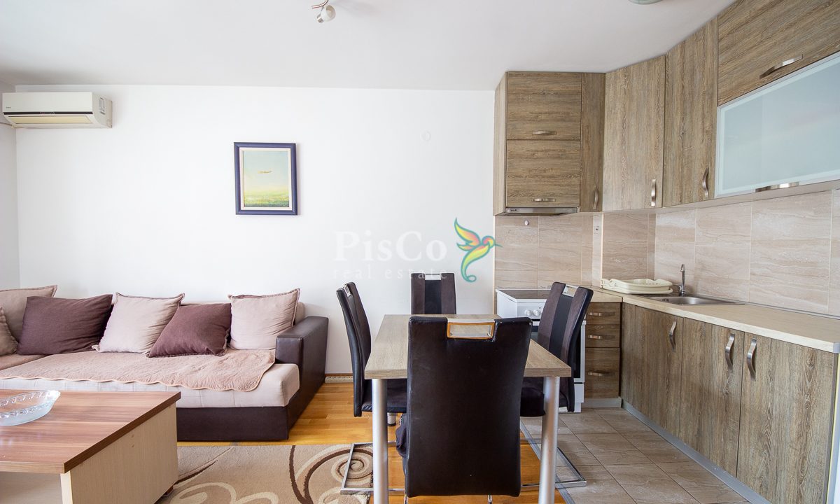 Izdavanje jednosoban stan Stari aerodrom, 45m2, Podgorica-1859