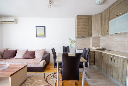 Izdavanje jednosoban stan Stari aerodrom, 45m2, Podgorica-1859