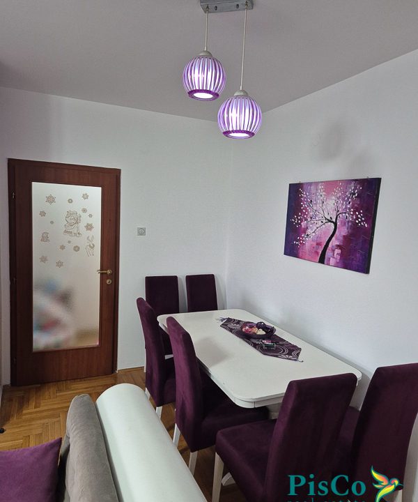 Jednosoban Zabjelska vektra (3 of 10)