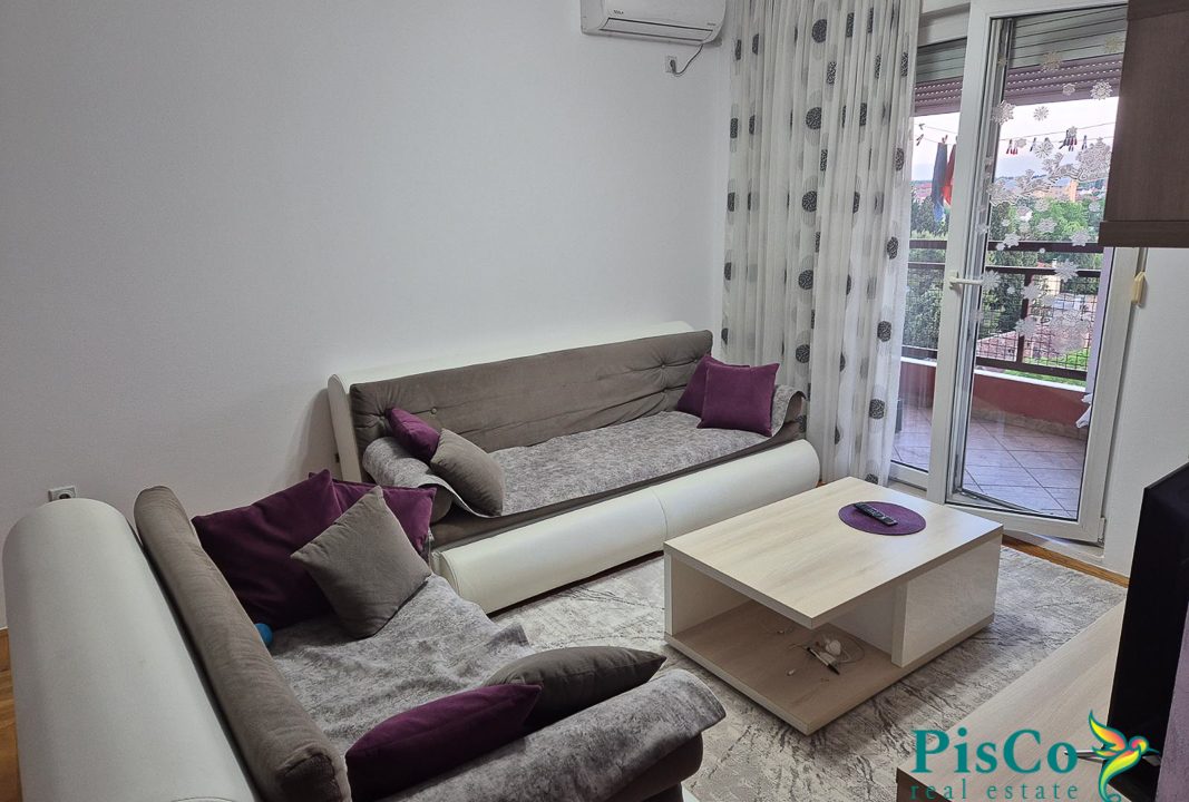 Jednosoban Zabjelska vektra (6 of 10)