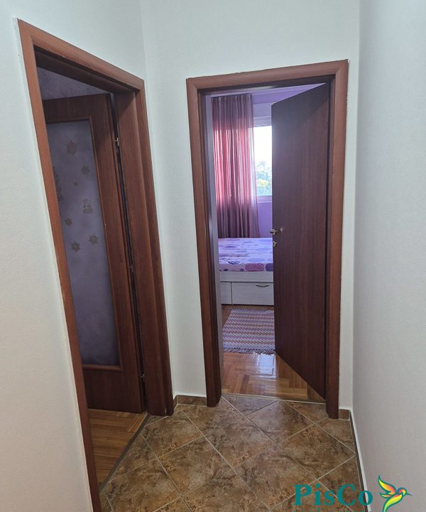 Jednosoban Zabjelska vektra (7 of 10)