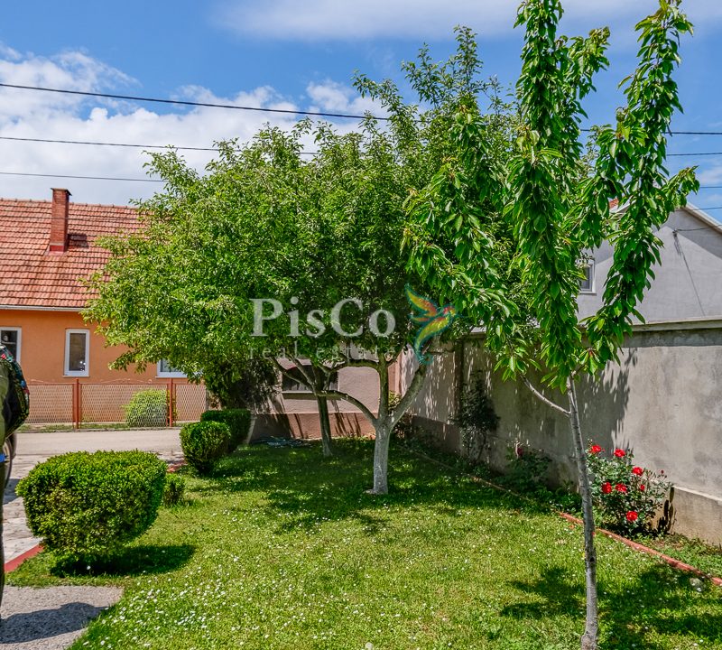 Prodaja petosobna kuća 450m2, Trebješko naselje, Nikšić-1043