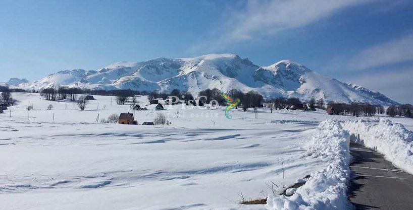 Prodaja plac Zabljak 473m2 Pasina voda 535