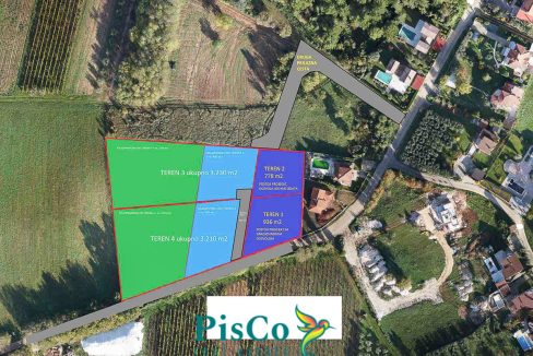 p. morace izdavanje 1 of 1