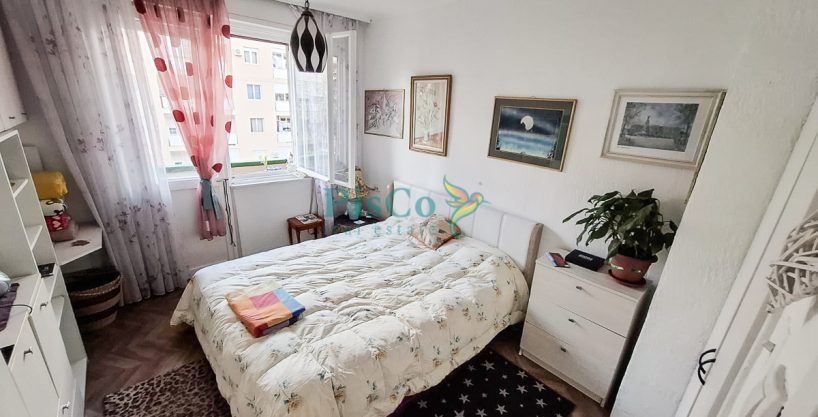 P Morace Izdavanje 4 Of 8