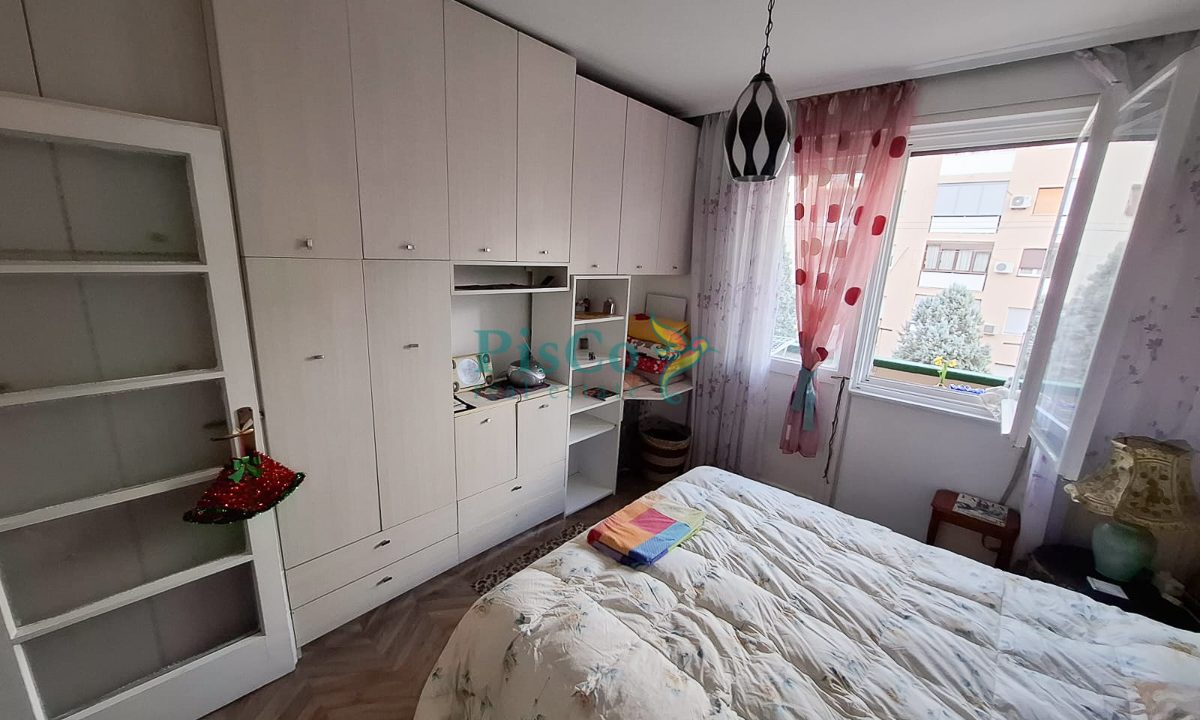 p. morace izdavanje (5 of 8)