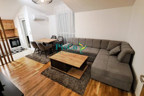 stari izdavanje (1 of 12)