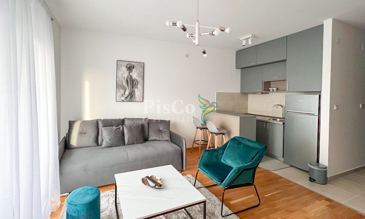 Izdavanje, garsonjera 30m2, Ljubović, Podgorica-150