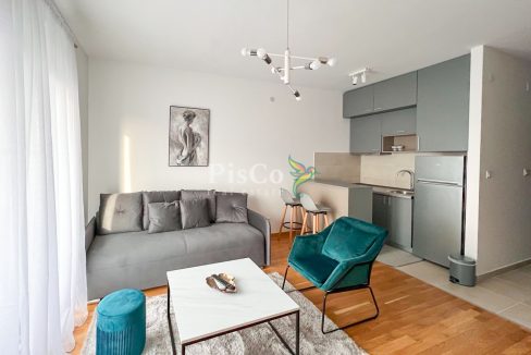 Izdavanje, garsonjera 30m2, Ljubović, Podgorica-150