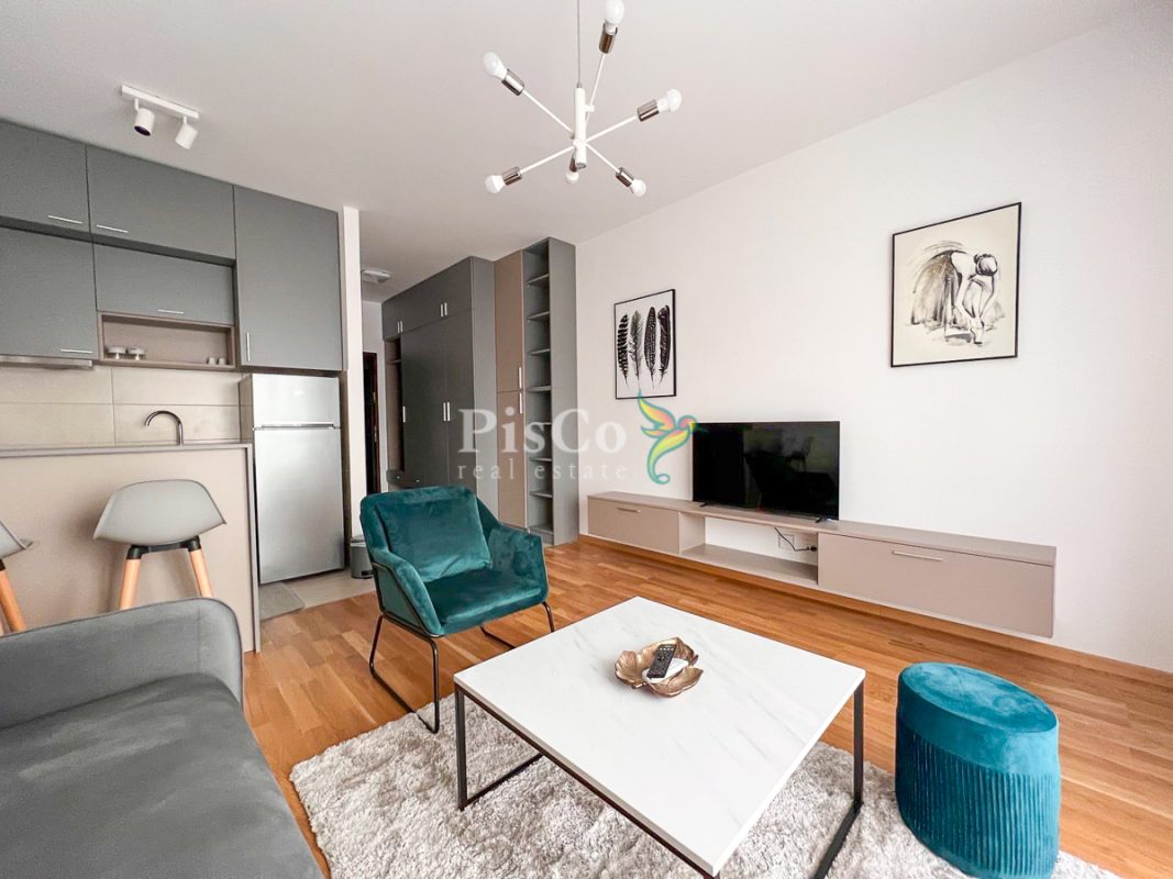 Izdavanje, garsonjera 31m2, Ljubović, Podgorica