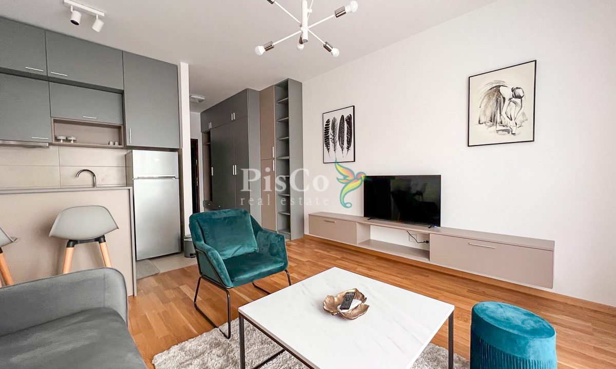 Izdavanje, garsonjera 30m2, Ljubović, Podgorica-367