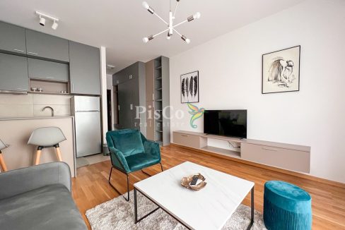 Izdavanje, garsonjera 30m2, Ljubović, Podgorica-367