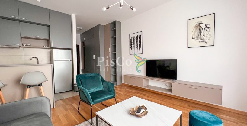 Izdavanje, garsonjera 31m2, Ljubović, Podgorica