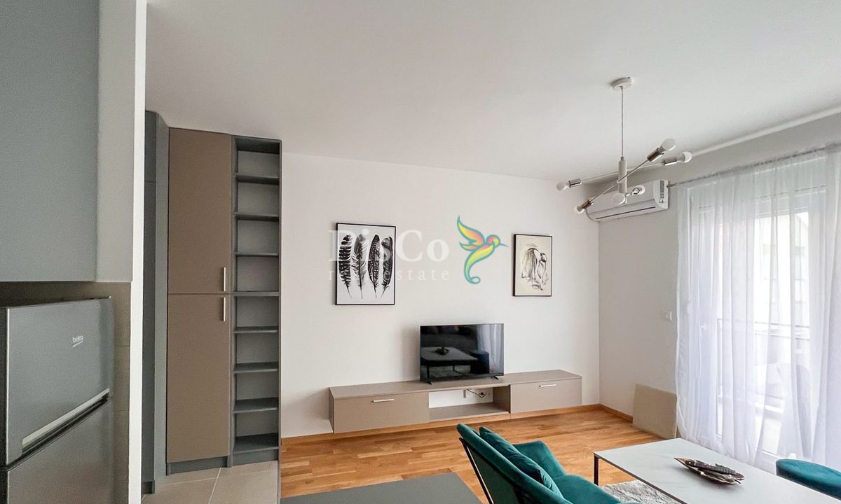 Izdavanje, garsonjera 30m2, Ljubović, Podgorica-930