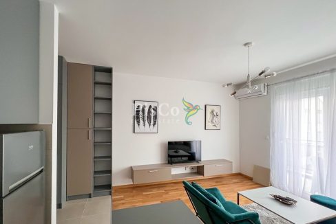Izdavanje, garsonjera 30m2, Ljubović, Podgorica-930