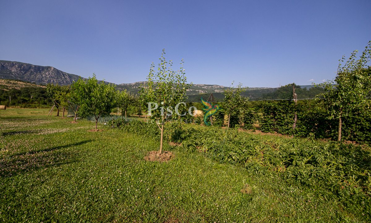 Prodaja dvosobna kuća 75m² sa placem 1600m², Martinići, Danilovgrad-2244