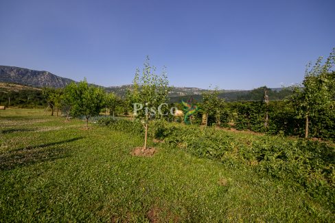 Prodaja dvosobna kuća 75m² sa placem 1600m², Martinići, Danilovgrad-2244