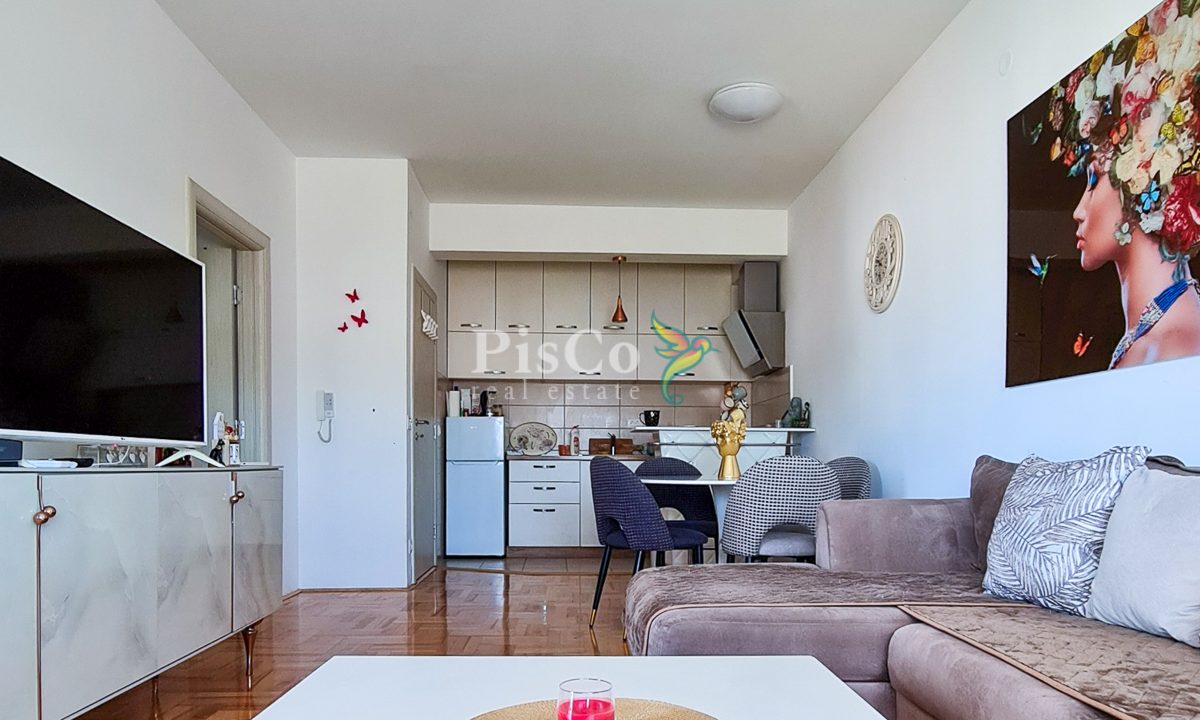 Prodaja, jednosoban stan, 49m2, Ljubović, Podgorica-709