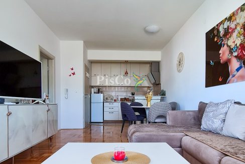 Prodaja, jednosoban stan, 49m2, Ljubović, Podgorica-709