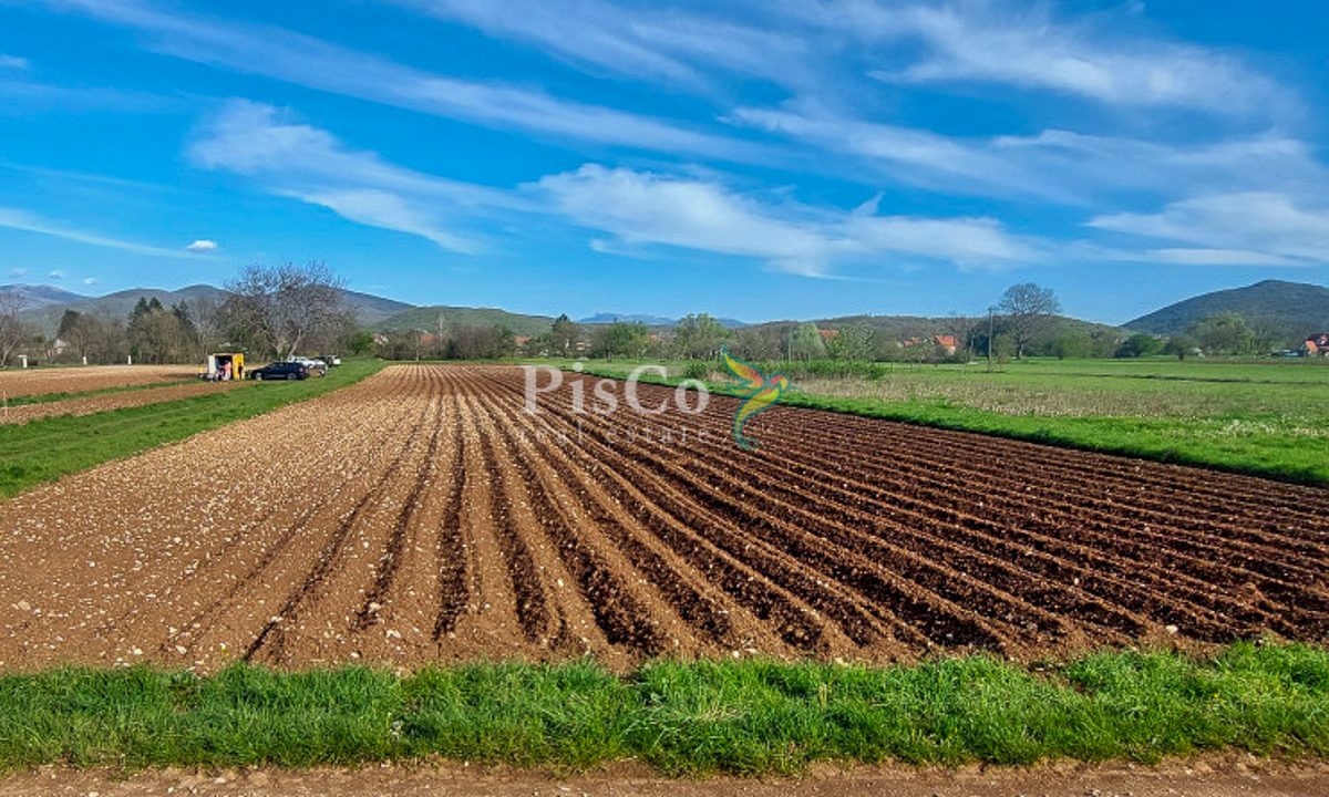Prodaja, plac 6077 m², Miločani, Nikšić, uz rijeku Zetu-1