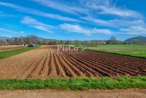 Prodaja, plac 6077 m², Miločani, Nikšić, uz rijeku Zetu-1